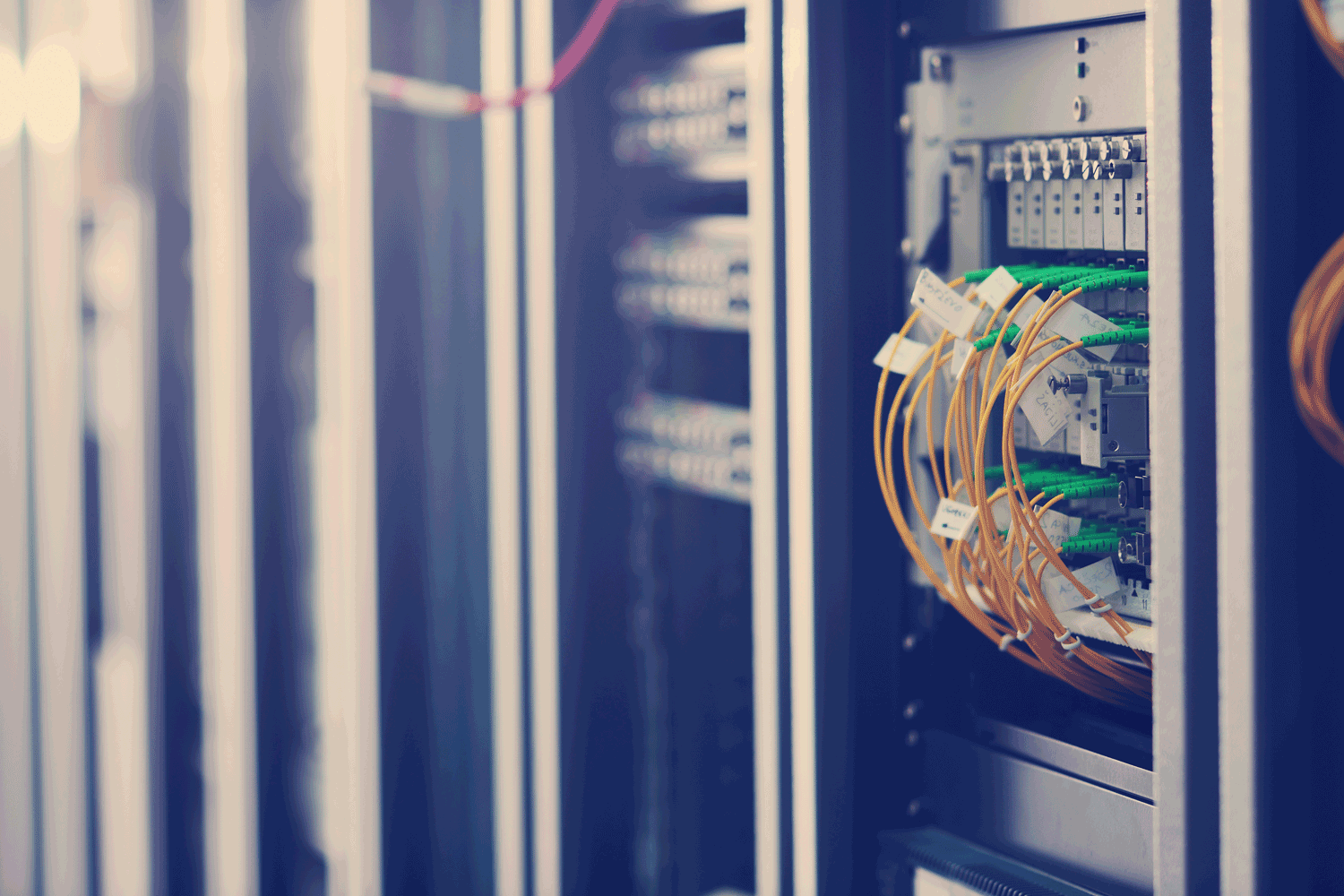 Διπλωμα Μηχανικων Πληροφορικης και Δικτυων (Computer Network Engineering)